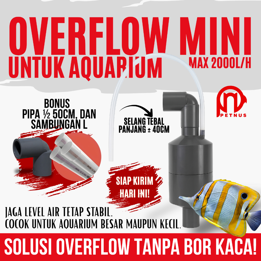 Jual Tabung Overflow Aquarium Mini Max 2000L/H Selang Tebal 40CM Solusi ...