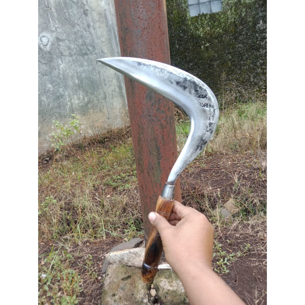 Jual Sabit Arit Rumput Baja Asli Cap ASPER Super Tajam Model Jawa ...