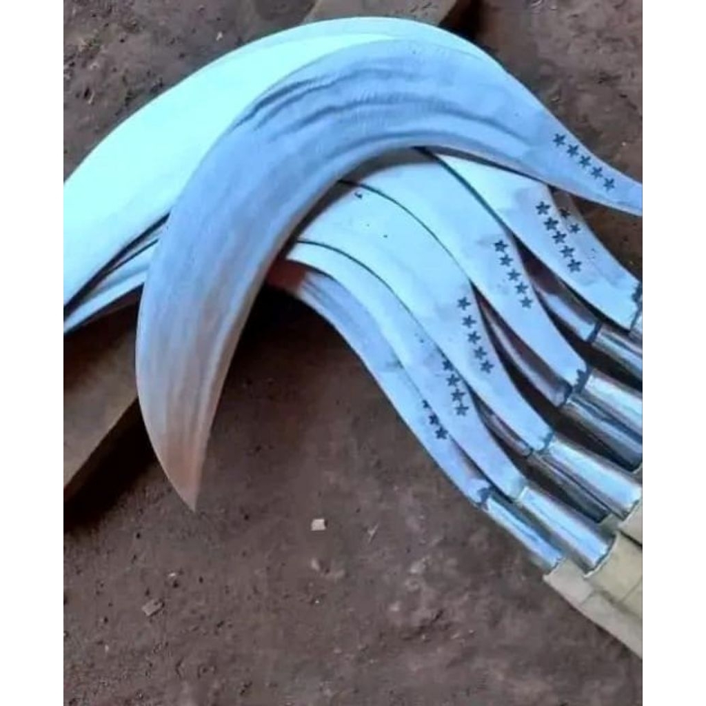 Jual Sabit Potong Rumput 50cm- Baja Karbon, Tajam, Mudah Digunakan ...