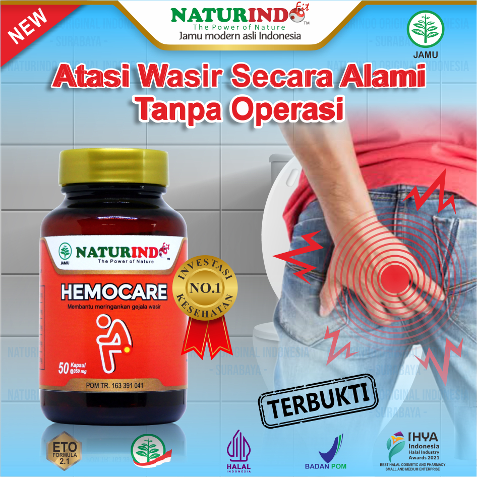 Obat Wasir Herbal Ambeien Ambeyen Stadium 4 BAB Berdarah Paling Ampuh Homocare Naturindo