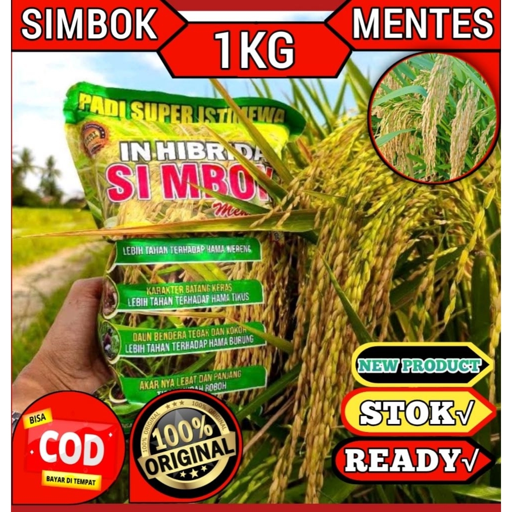 Jual SIMBOK MENTES ORIGINAL KEMASAN 1KG | Shopee Indonesia