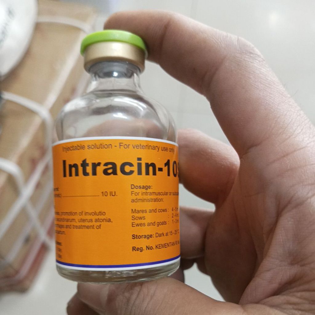 Jual Obat Intracin-10s Injeksi Oxytocin-10 50ml untuk Hewan Ternak ...