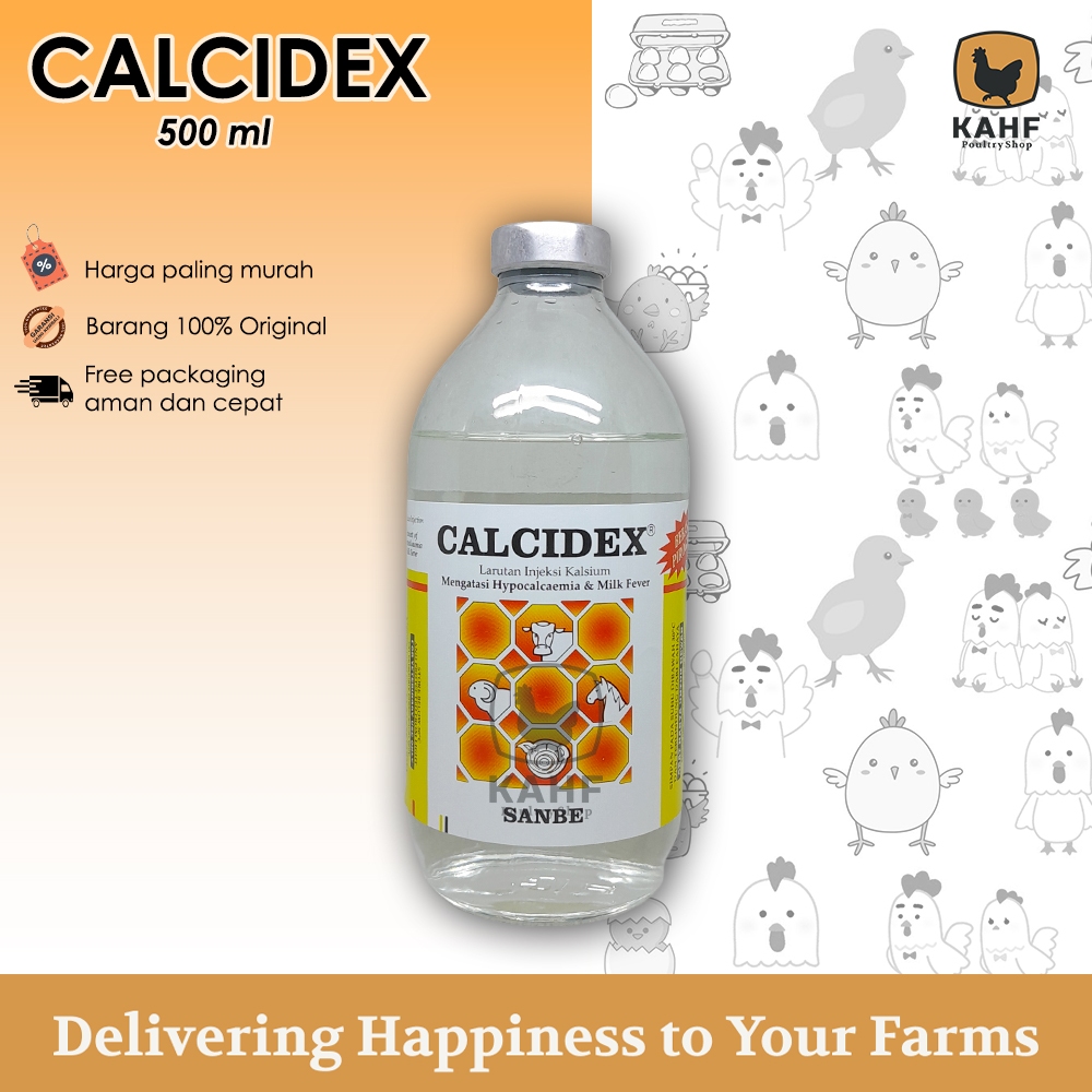 Jual Calcidex 500 ml Larutan Injeksi Kalsium Sapi Kambing Kuda | Shopee ...
