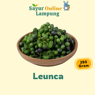 Leunca