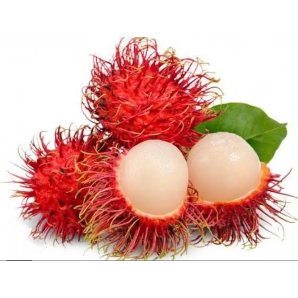 Jual Buah Rambutan Manis Daging tebal - Andira Fresh | Shopee Indonesia