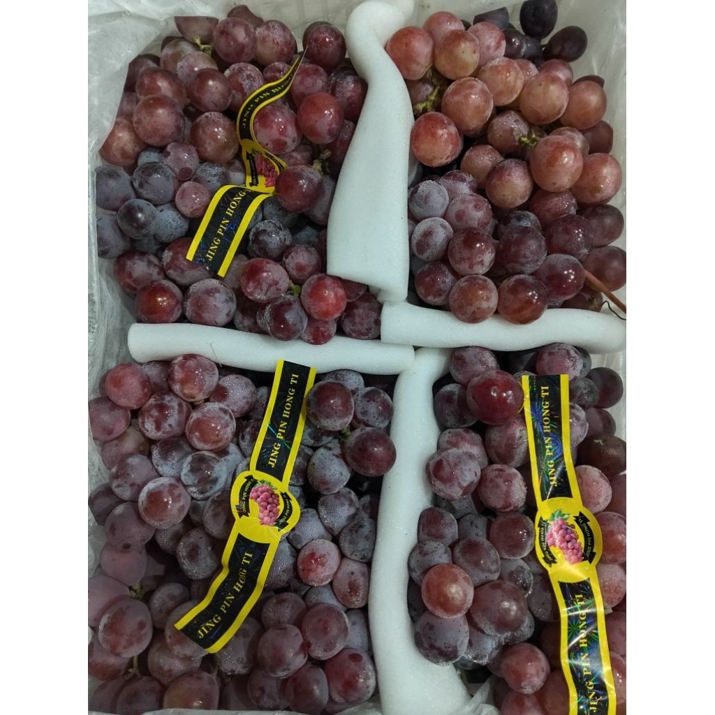 Jual Buah Anggur Merah // anggur merah ausi // anggur merah RRC // Full ...