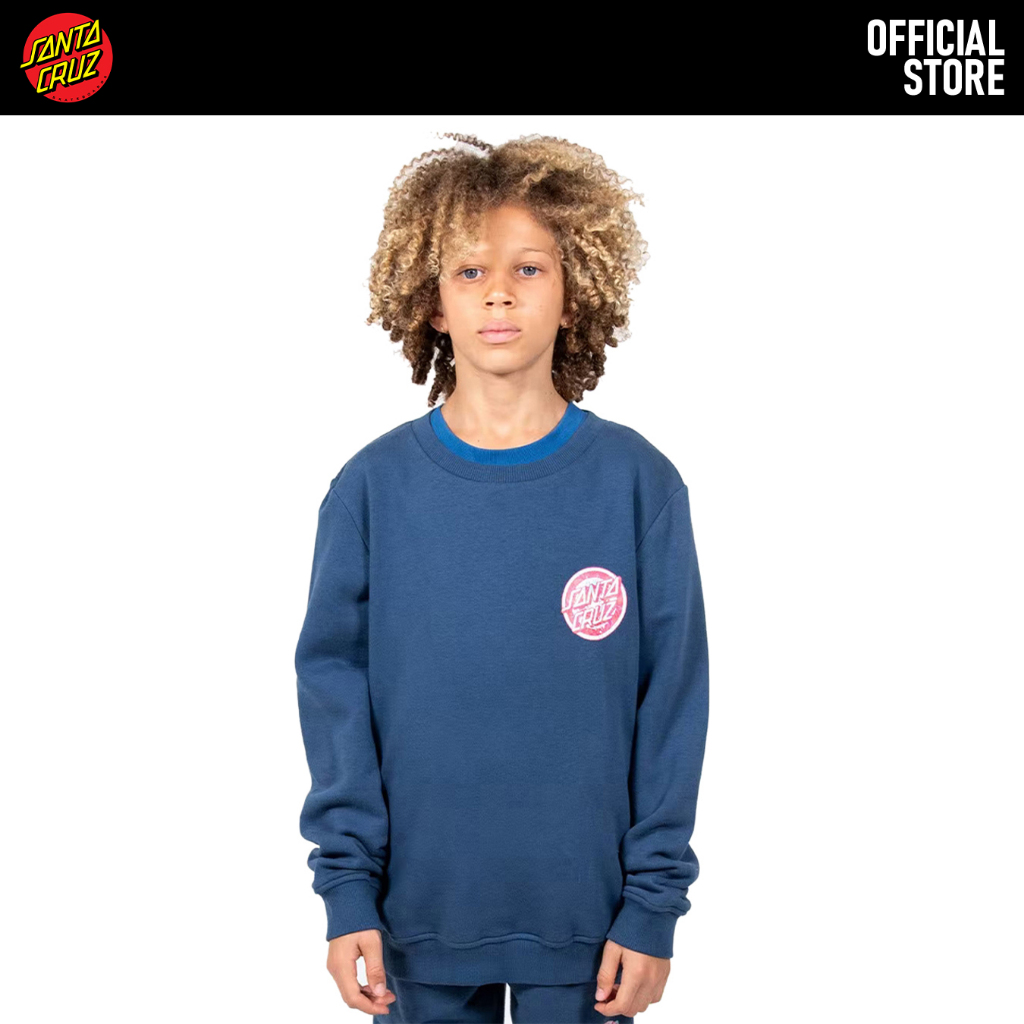 Jual Santa Cruz Decoder Roskopp Sweater Anak SB1220302 | Shopee Indonesia