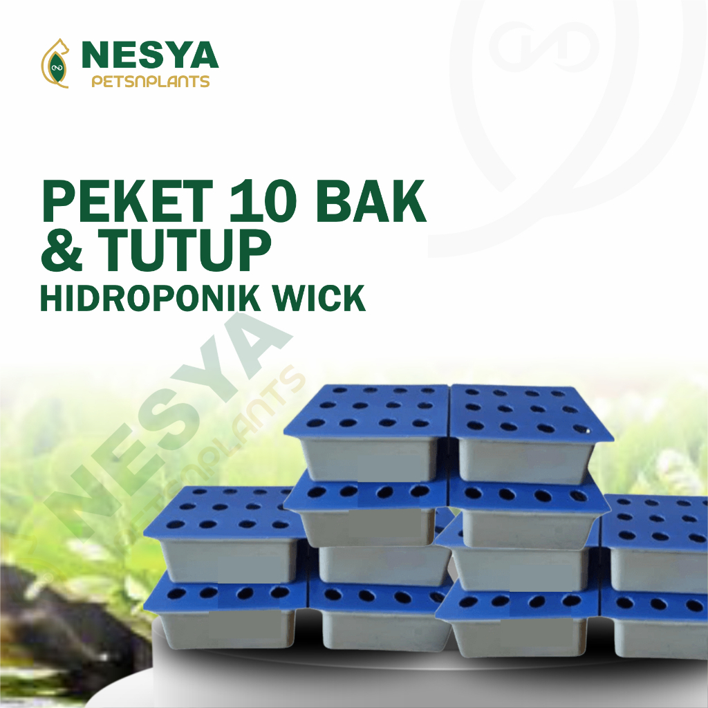 Paket 10 Bak dan Tutup Impraboard Hidroponik Sistem Wick