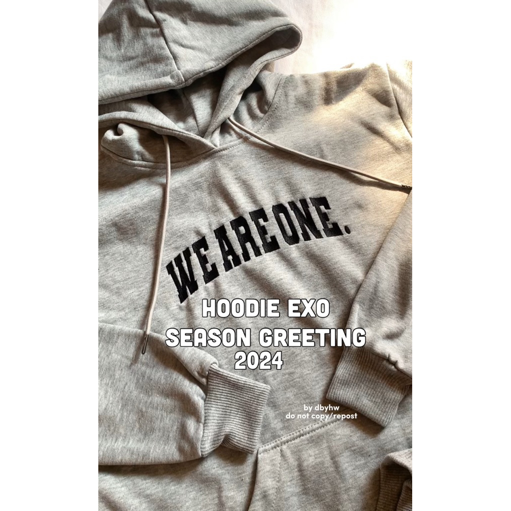 Jual OPEN PO HOODIE EXO SG 2024 BORDIR WE ARE ONE by dbyhw