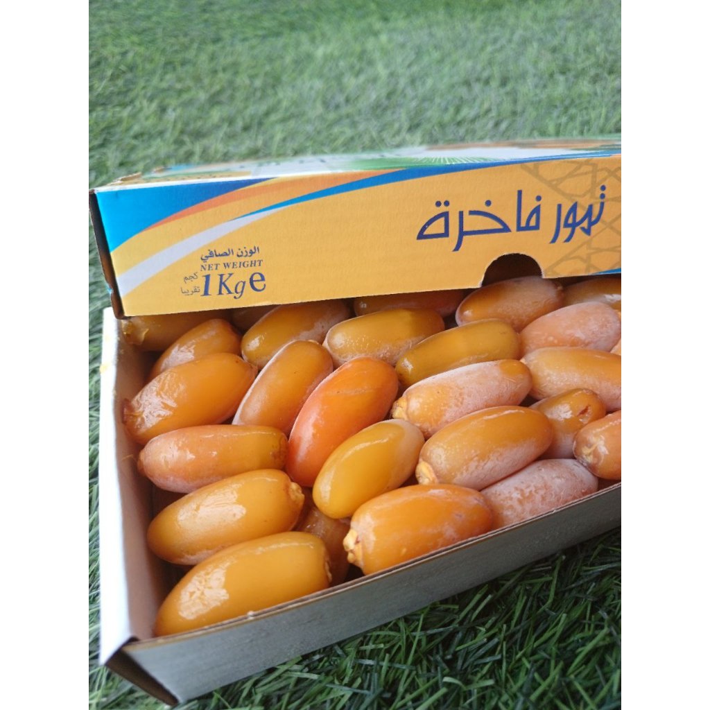 Jual Ruthob kurma muda Kurma ruthob fresh 1 kg premium | Shopee Indonesia