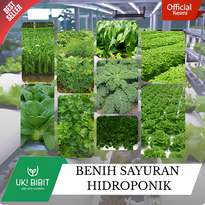 Aneka Macam Benih Biji Sayuran Hidroponik | Sayuran Hidroponik Varian Terengkap Siap Semai