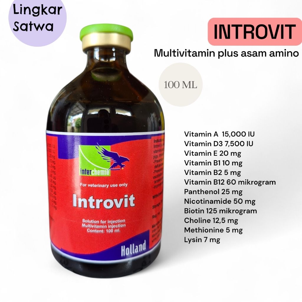 Jual Introvit 100 ml /Multivitamin dan Asam Amino Ternak Hewan | Shopee ...
