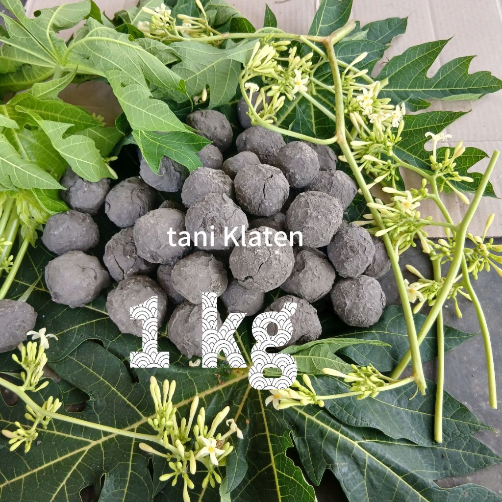 Tanah Lempung Hitam 1 Kg Penghilang Rasa Pahit Daun Pepaya Paling Murah 100% asli