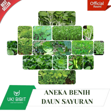 Aneka Macam Benih Biji Daun Sayuran | Sayuran Varian Terlengkap Siap Semai