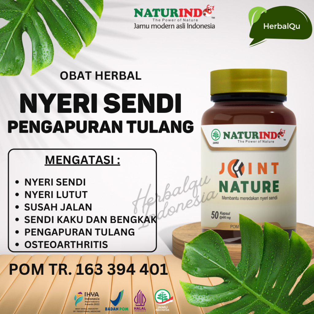 Obat Nyeri Sendi Lutut Paling Ampuh Herbal Pengapuran Tulang Osteoporosis Joint Nature Naturindo