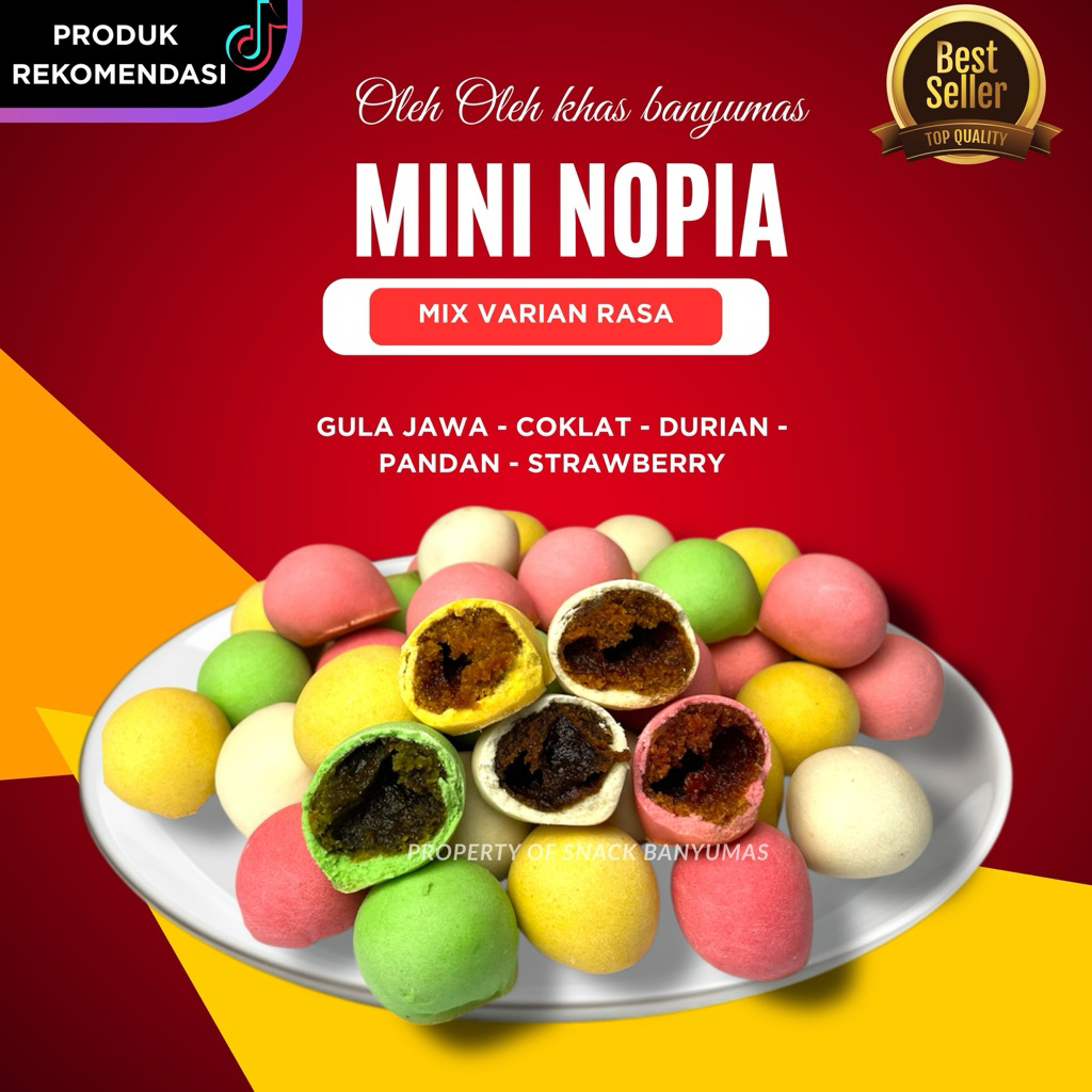 Jual MINI NOPIA KHAS CAMILAN BANYUMAS CAMILAN MANIS | Shopee Indonesia