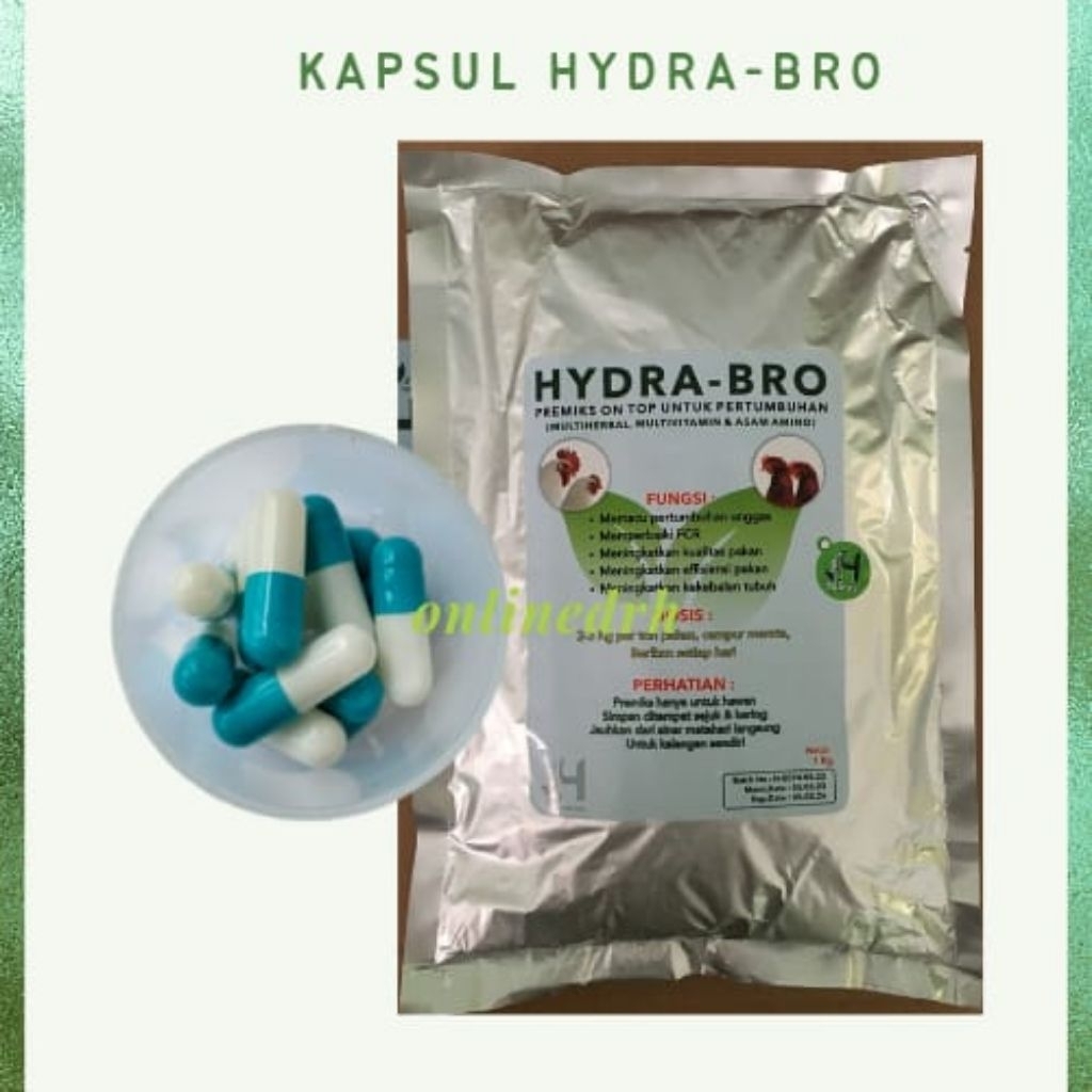 Jual HYDRABRO original Kapsul Hydra bro untuk Pemulihan Ayam, Merpati ...