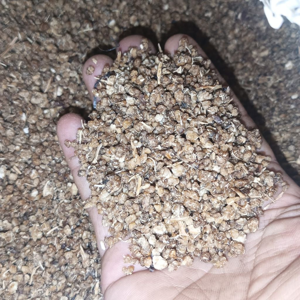 Jual OYEK TIWOL WARNA COKLAT 0.5 KG TANPA BAHAN PENGAWET KUALITAS SUPER ...