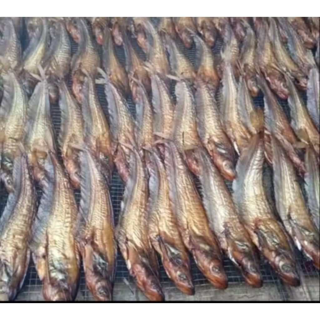 Jual 1kg ikan asap lais ukuran sedang | Shopee Indonesia