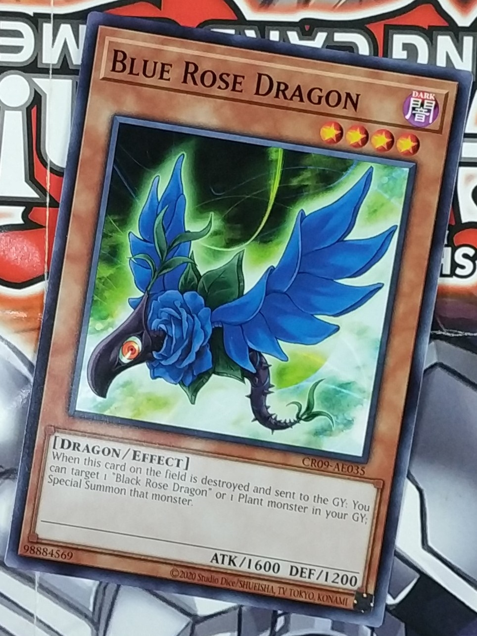 Jual Blue Rose Dragon - CR09-AE035 - Common - Monster Card - YuGiOh ...