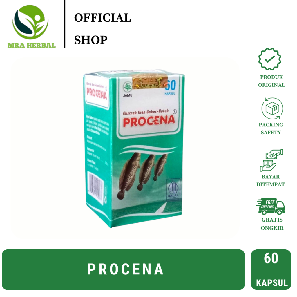Jual Procena Esktrak Ikan Gabus - Kutuk 60 Kapsul | Membantu ...