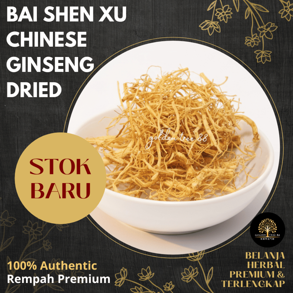 25 gram Premium Akar Ginseng China / Bai Shen Xu / Chinese Ginseng Root Fresh Original