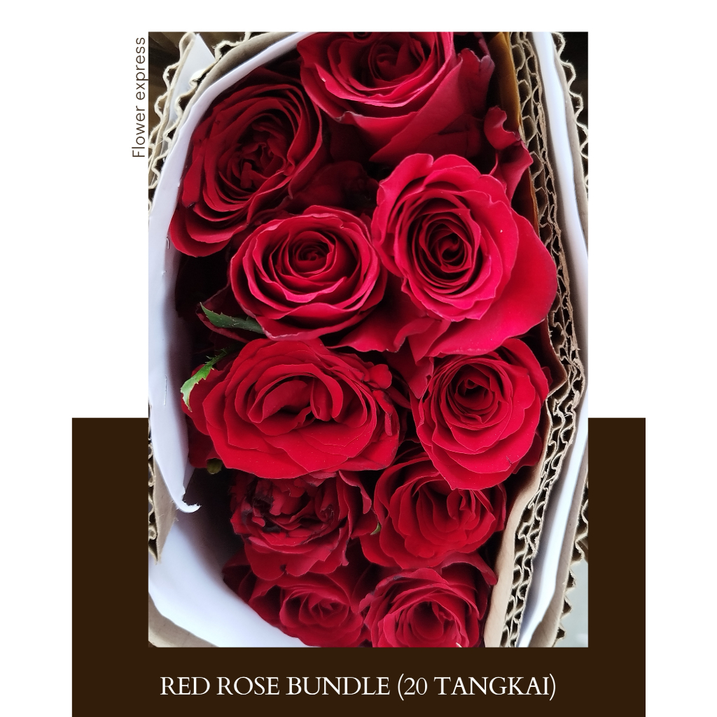 Jual Bunga Rose Merah Bundle I Bunga Potong Segar - PerBundle | Shopee ...