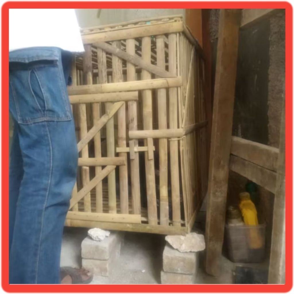 Jual Kandang ayam ukuran 70x70x70 tinggal rakit model( tanpa kakian ...