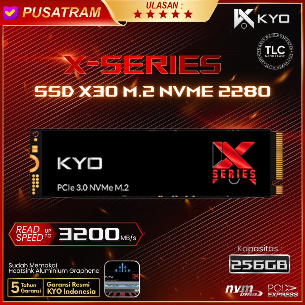 Jual KYO X30 PCIe 3.0 SSD M.2 NVMe 2280 SLC Cache TLC Nand 256GB X ...