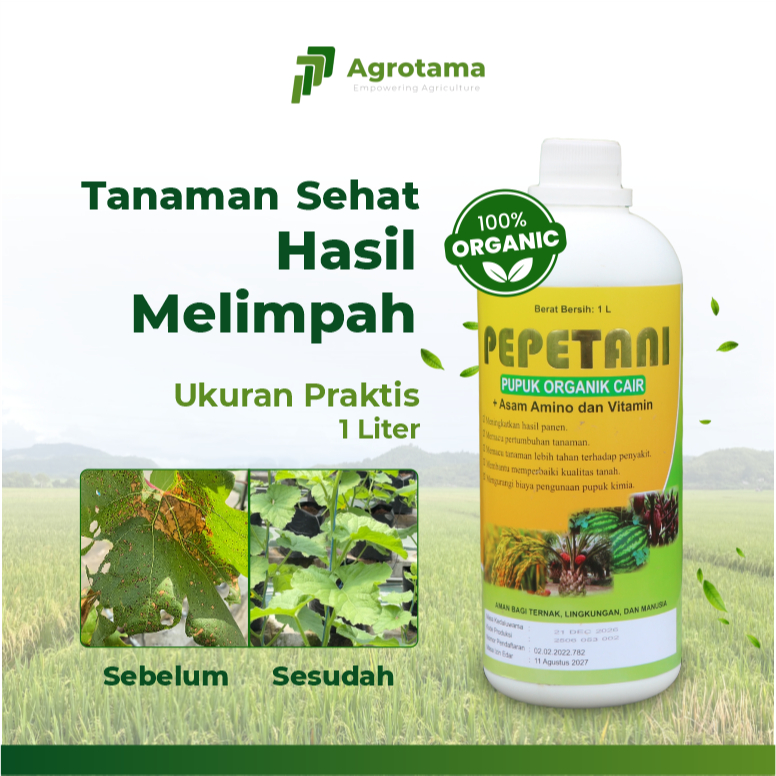 Pepetani Pupuk Organik POC Mikroba Mempercepat Pertumbuhan dan Meningkatkan Hasil Panen Untuk Semua Jenis Tanaman Seperti Tanaman Hias Bahkan Padi