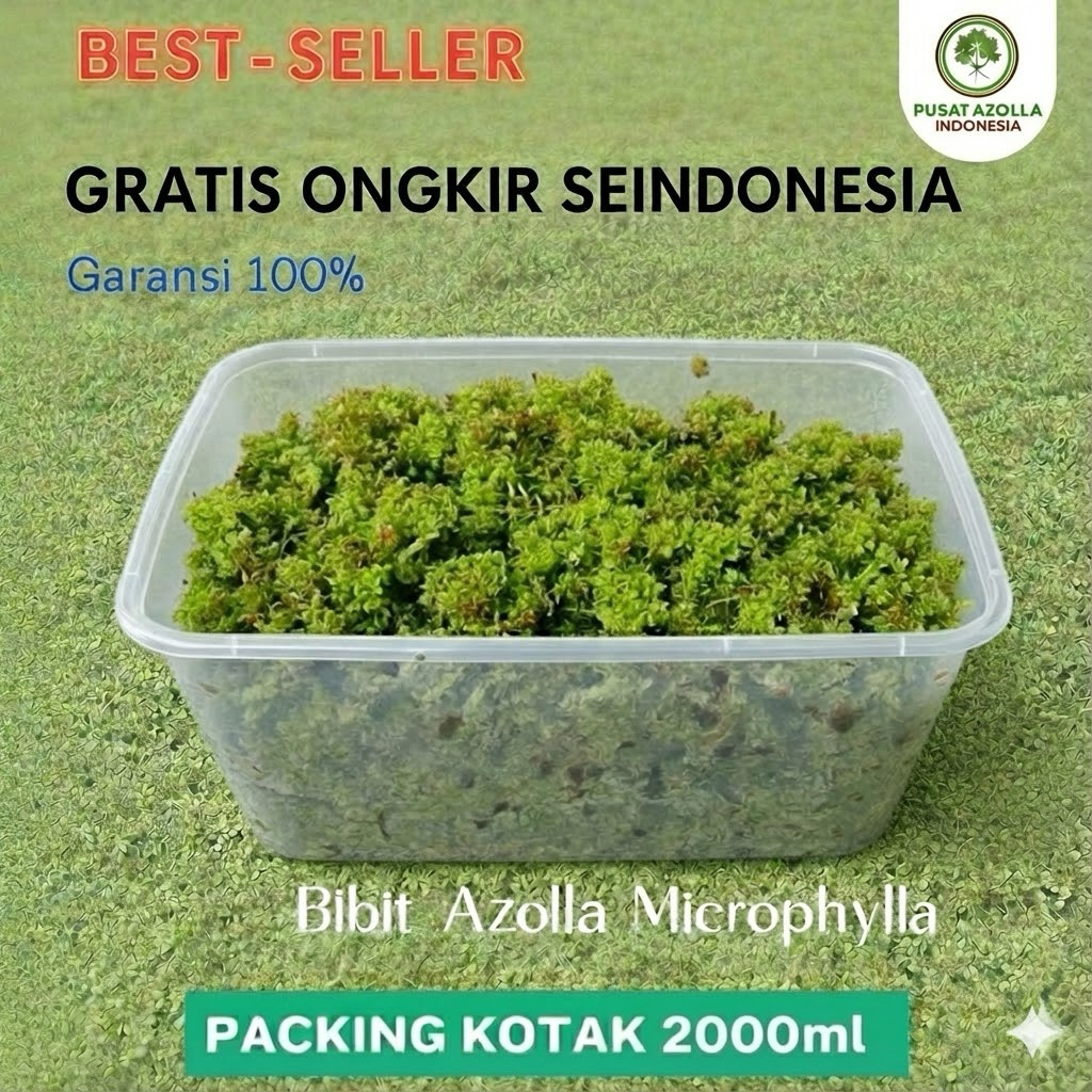 Produk Pusat Azolla Indonesia | Shopee Indonesia
