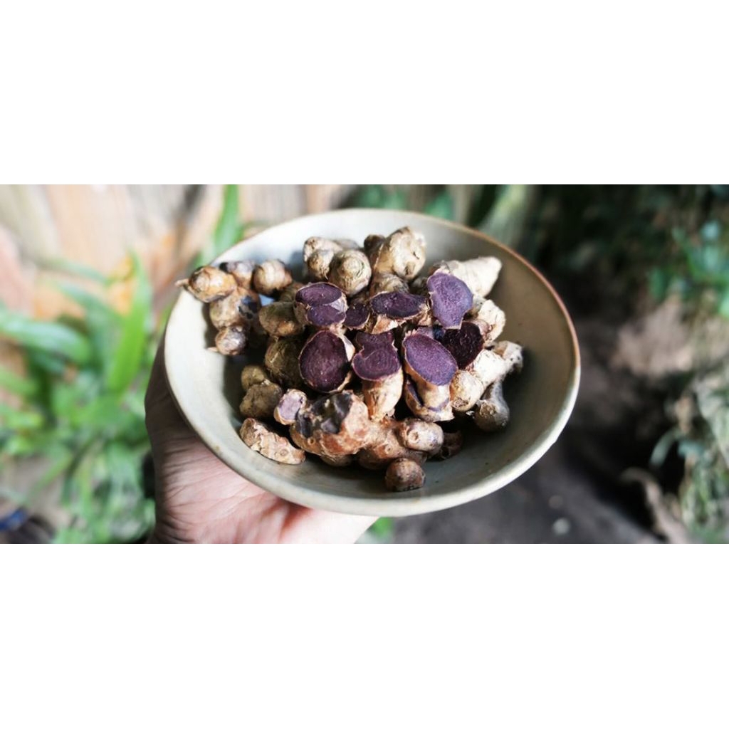 Jual Kunyit Hitam Asli 250g Kaya Manfaat Kesehatan | Shopee Indonesia