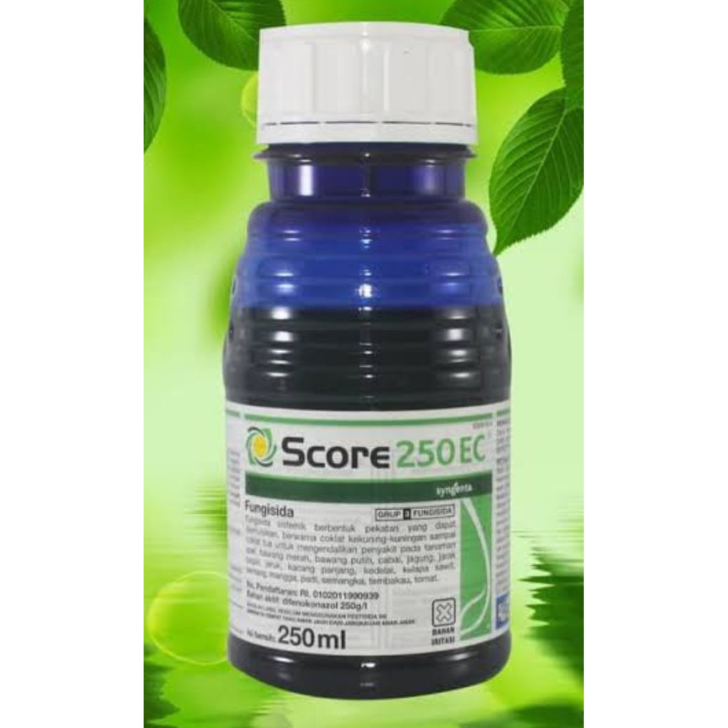 Jual Score 250ML | Shopee Indonesia