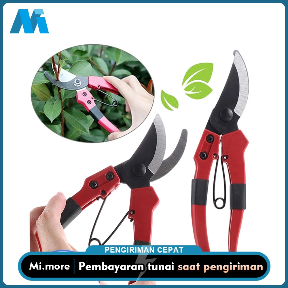 Jual Mi.more Gunting Dahan Ranting Pruning 1pc Batang Daun Tanaman ...