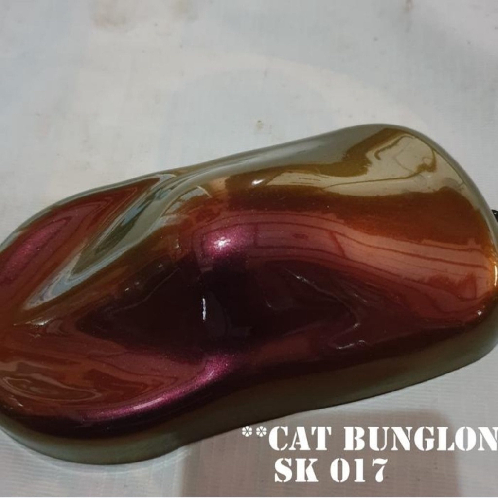 Jual cat bunglon Shakeel colour SK 017 | Shopee Indonesia