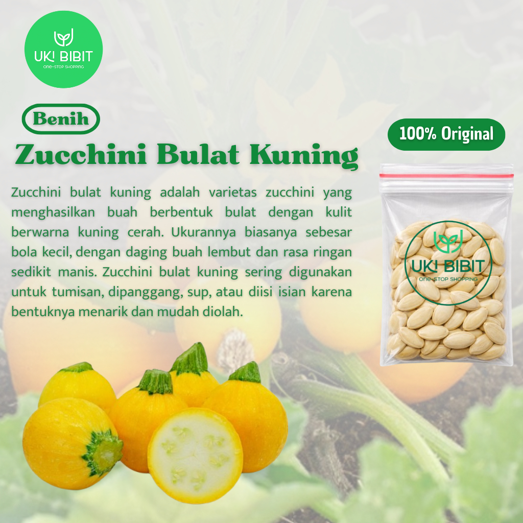 Jual ( 3 Butir ) Benih Biji Zucchini Bulat Kuning | Zukini Kuning Bulat ...