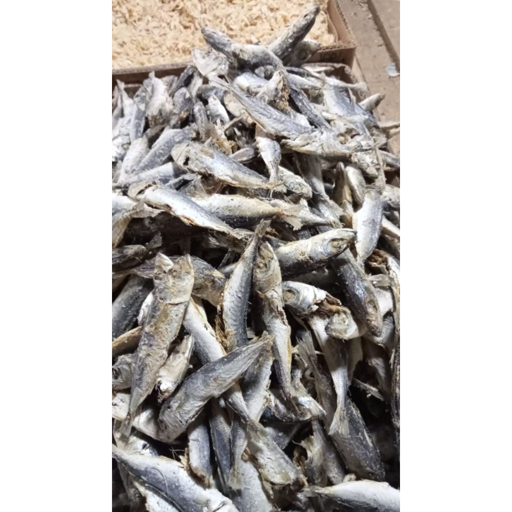 Jual ikan asin rebus japuh/layang berat bersih 250gr/500gr | Shopee ...