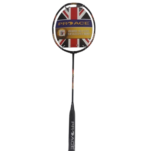 Jual Raket Original Pro Ace Stroke 316 II Bonus Komplit Badminton ...