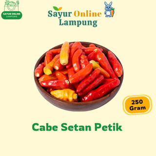 Cabe Setan Petik