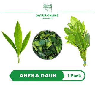 Aneka Daun /Daun Salam / Daun kunyit / Daun Jeruk