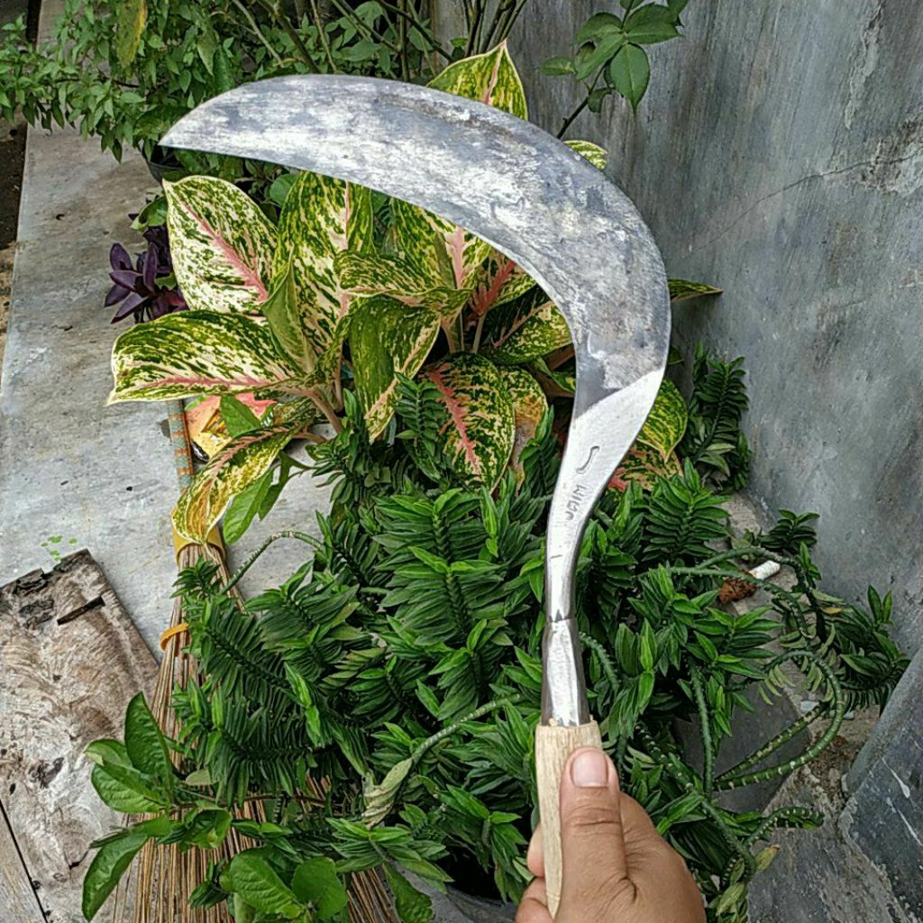 Jual SABIT RUMPUT BAJA ISEN UKURAN KECIL | Shopee Indonesia