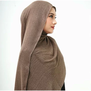 Pashmina Viscose Texture Highlight Pashmjna Viscose Pashmmina Texture Highlight Shawl Viscose