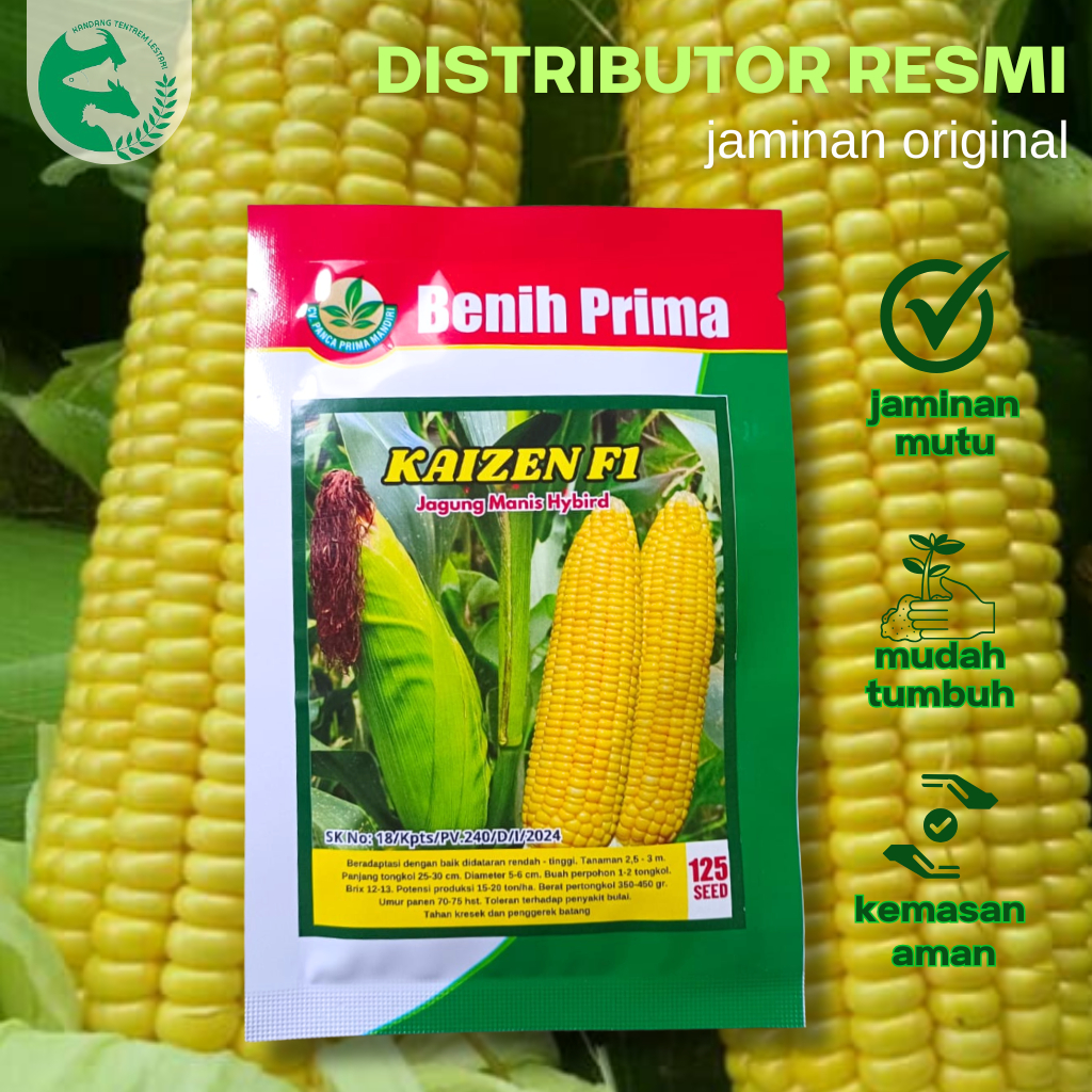Jual Benih Jagung Manis Hibrida KAIZEN F1 250 Seed Tongkol Besar Cap ...