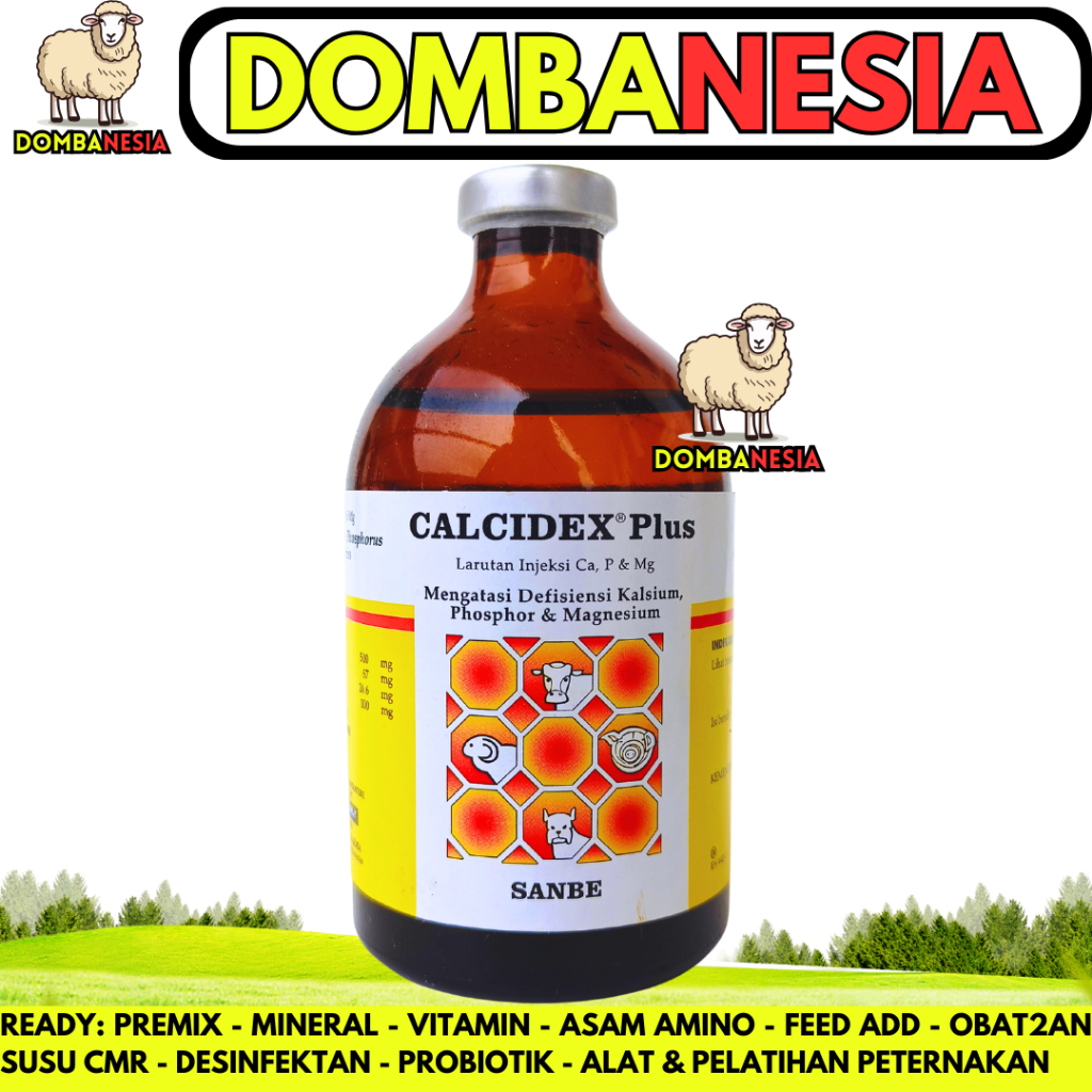 Jual CALCIDEX PLUS 100ML SANBE - Obat Sapi Kambing Lumpuh Ampuh Atasi ...