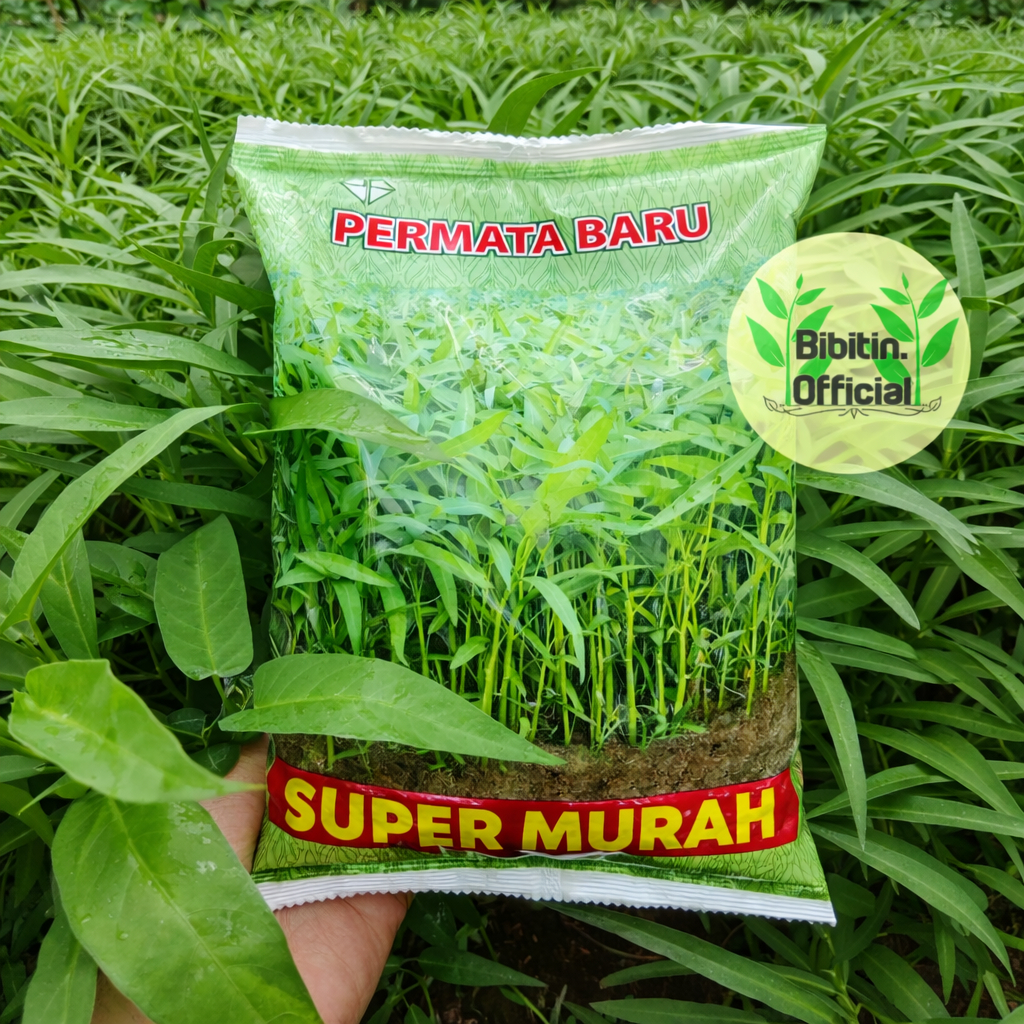 (BISA COD) 1KG - BENIH BIBIT KANGKUNG DARAT SUPER DAUN LEBAR "SUPER MURAH" - PERMATA BARU