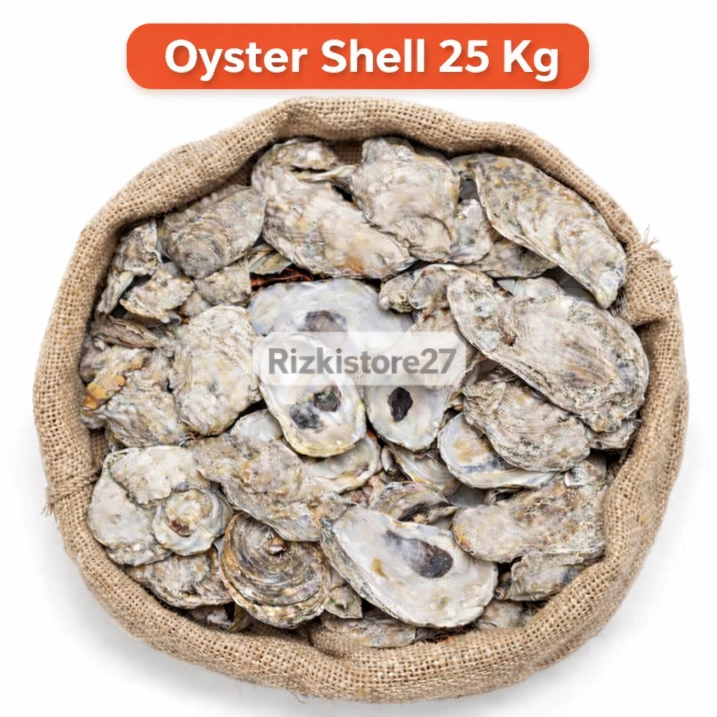Jual Oyster Shell 25 Kg Media Filter Alami Penyeimbang pH Aquarium ...