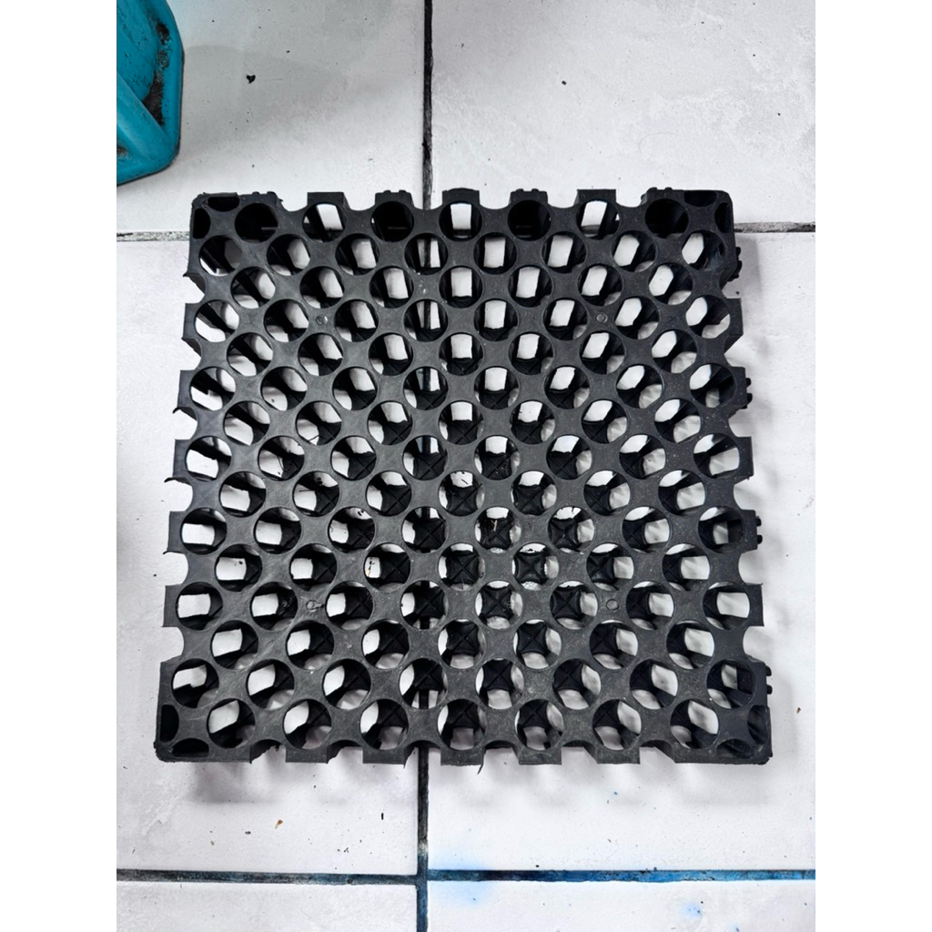 Jual DRAINASE CELL DC SIMBAR PLATYCERIUM UKURAN 25x25 | Shopee Indonesia