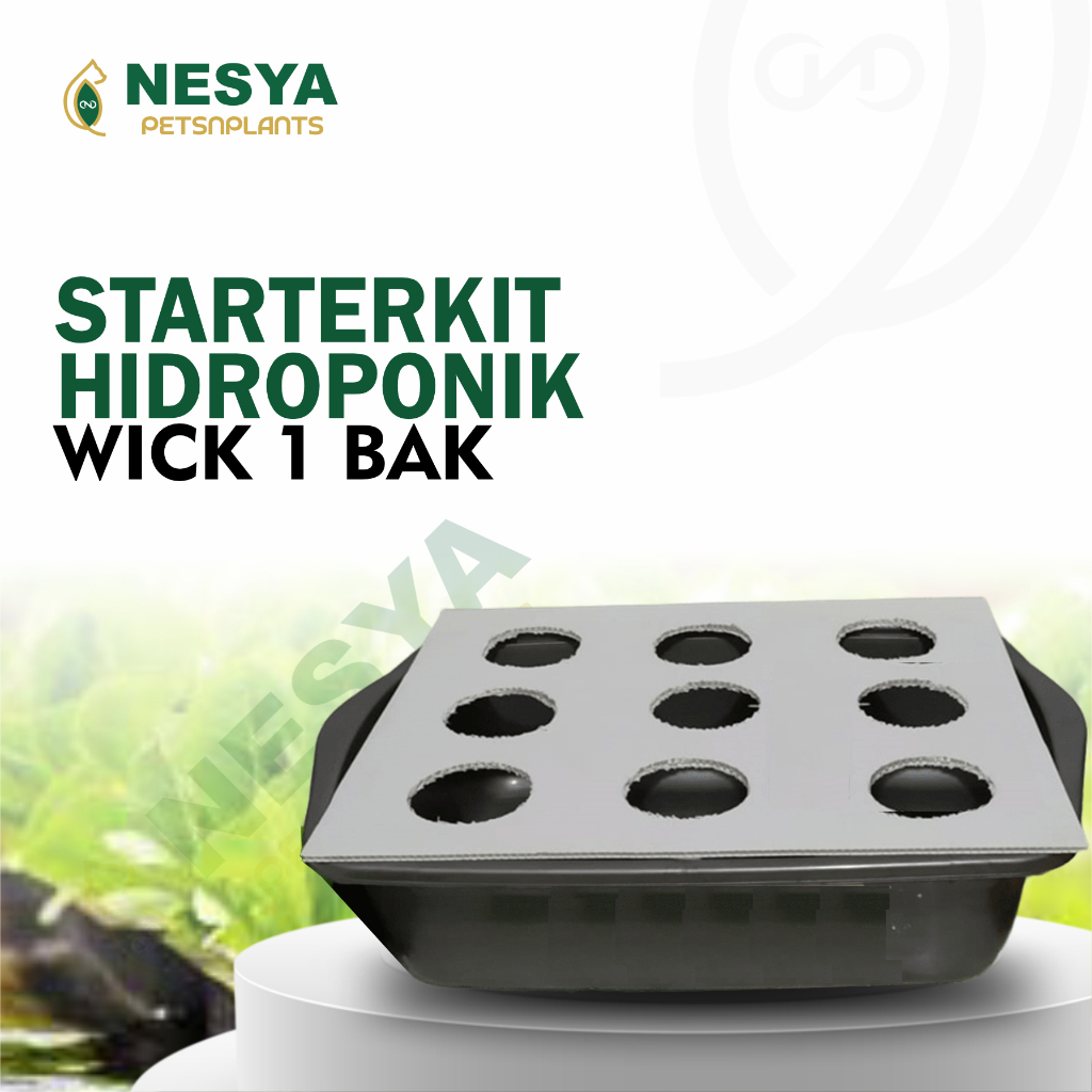 Paket 1 Bak dan Tutup Impraboard Hidroponik Sistem Wick