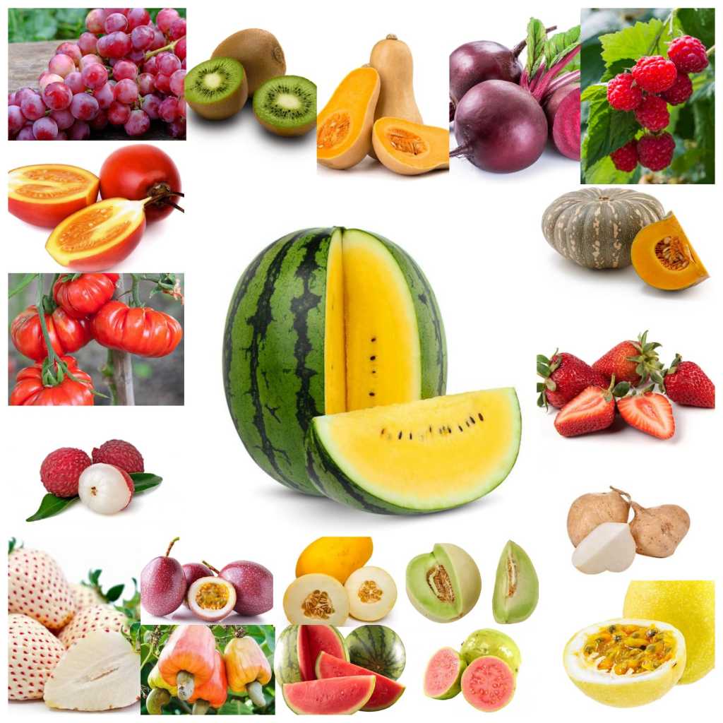 HEMAT 1 PAKET 10 JENIS BENIH  BUAH BUAHAN MANIS BIJI MIX BUAH MACAM MACAM SEMANGKA MELON  DLL
