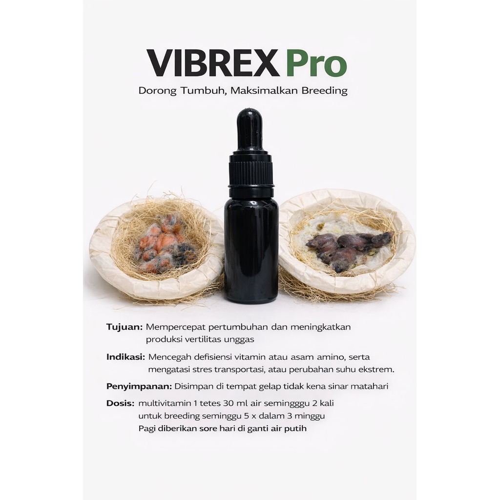 Jual Vitamin E Amino VIBREX PRO | Shopee Indonesia